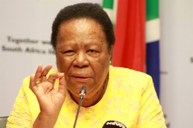 DIRCO CFO fired for New York land buy